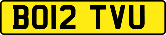 BO12TVU