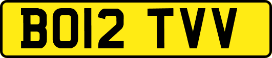 BO12TVV