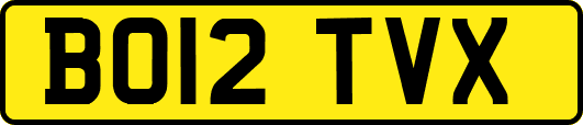 BO12TVX