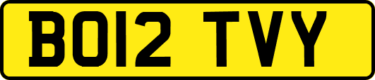 BO12TVY