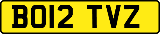 BO12TVZ