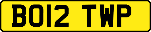 BO12TWP