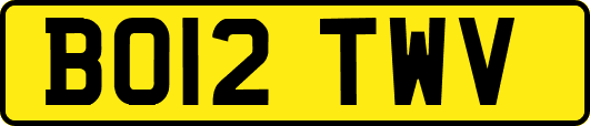 BO12TWV