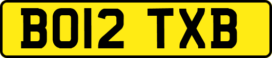 BO12TXB