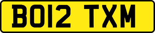 BO12TXM