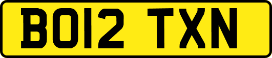 BO12TXN