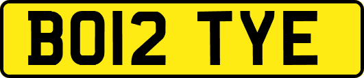 BO12TYE