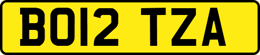 BO12TZA