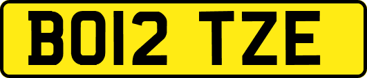 BO12TZE