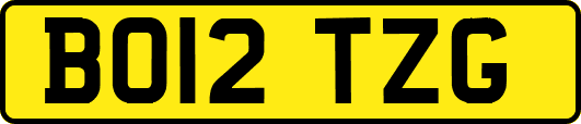 BO12TZG
