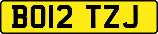BO12TZJ