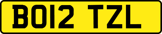 BO12TZL