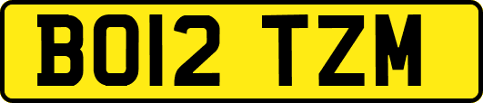 BO12TZM
