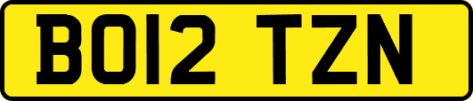 BO12TZN
