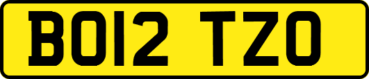 BO12TZO
