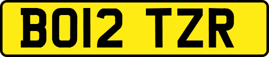 BO12TZR