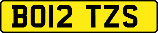 BO12TZS