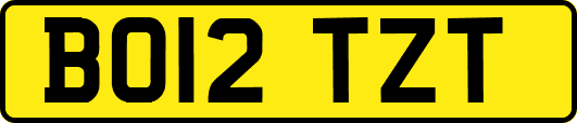 BO12TZT