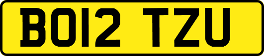 BO12TZU