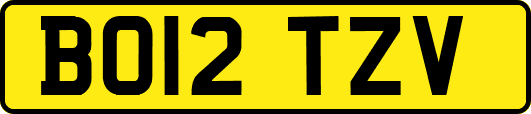 BO12TZV
