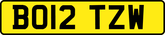 BO12TZW
