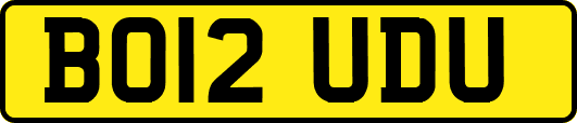 BO12UDU
