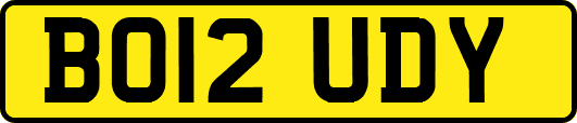 BO12UDY