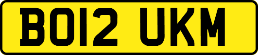 BO12UKM