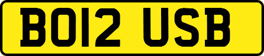BO12USB