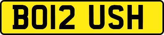 BO12USH