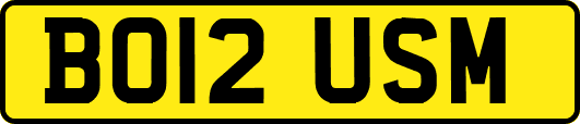 BO12USM