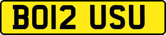 BO12USU