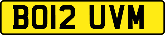 BO12UVM