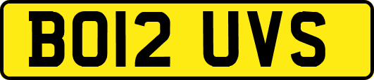 BO12UVS