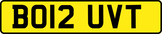 BO12UVT