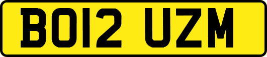BO12UZM