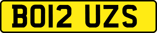 BO12UZS