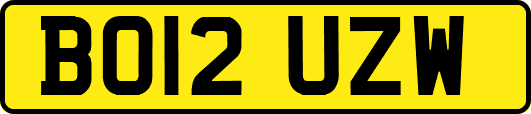 BO12UZW