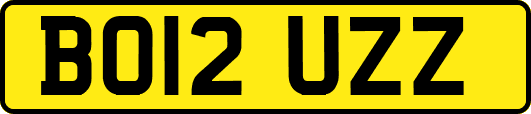 BO12UZZ