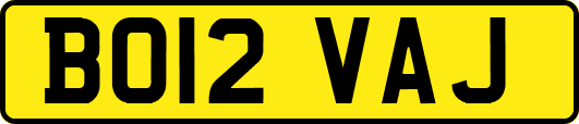 BO12VAJ