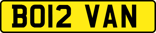 BO12VAN