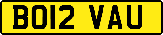 BO12VAU