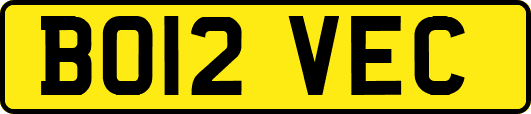 BO12VEC
