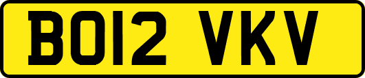 BO12VKV