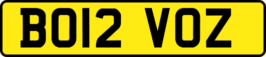 BO12VOZ