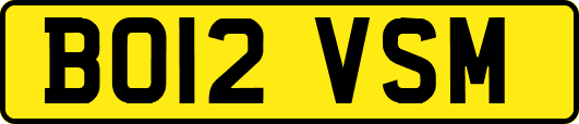 BO12VSM