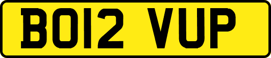BO12VUP