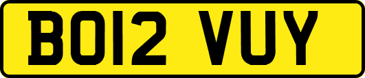 BO12VUY