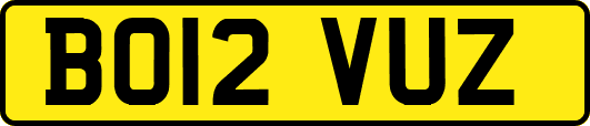 BO12VUZ