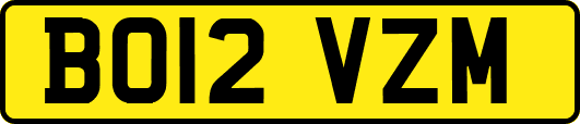 BO12VZM